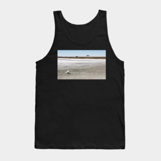 Death, & Dead Lake, Tanzania Tank Top